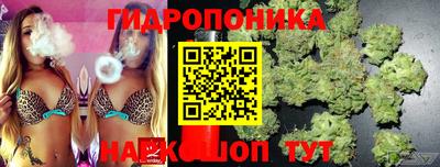 гашик Краснокаменск
