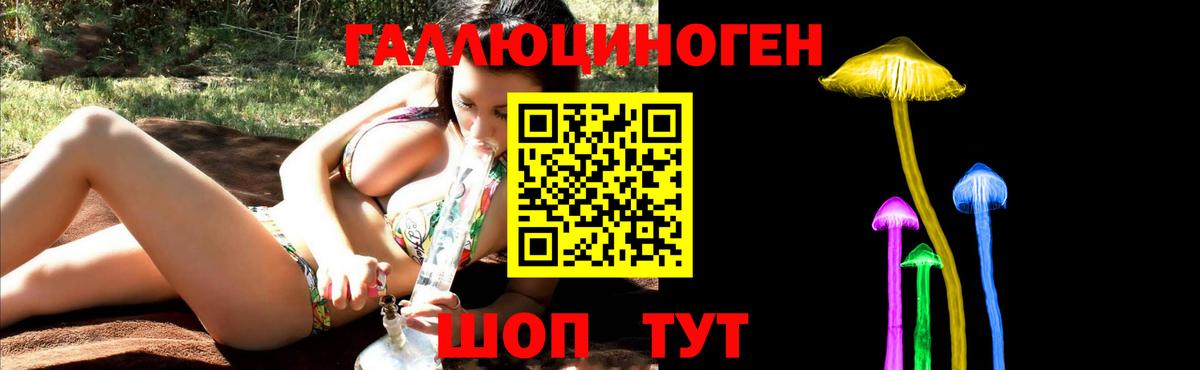 где можно купить наркотик  Псилоцибиновые грибы Magic Shrooms  Вход с VPN  Ишимбай 